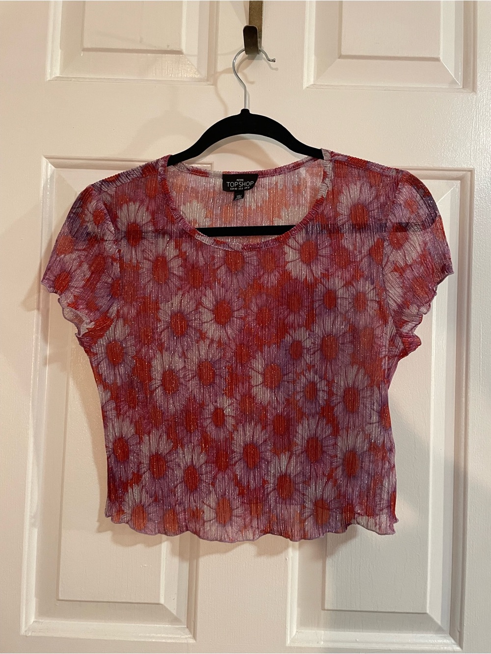 Topshop Red & Purple Floral Sheer Crop Tee